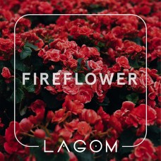 Тютюн Lagom Main Fireflower (Квітково-пряний смак) 40 г