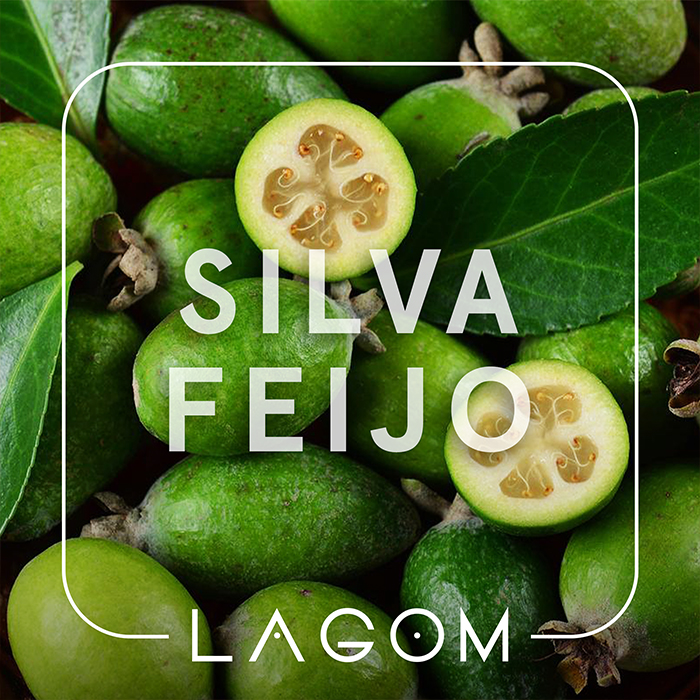 Тютюн Lagom Main Silva Feijo (Фейхоа)