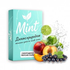 Суміш для кальяну Mint Смородина Персик Лайм 100 г